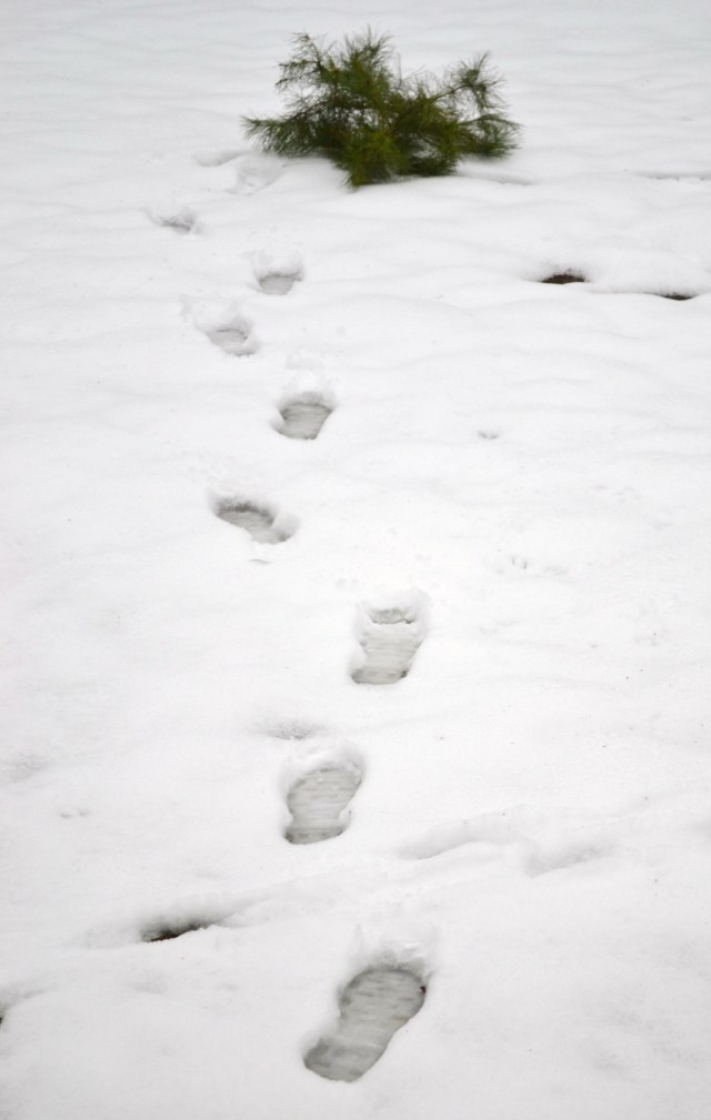 Footprints in snow 009